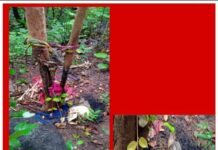 पर्यटन स्थल गढ़िया पहाड़ में मिला महिला का कंकाल…